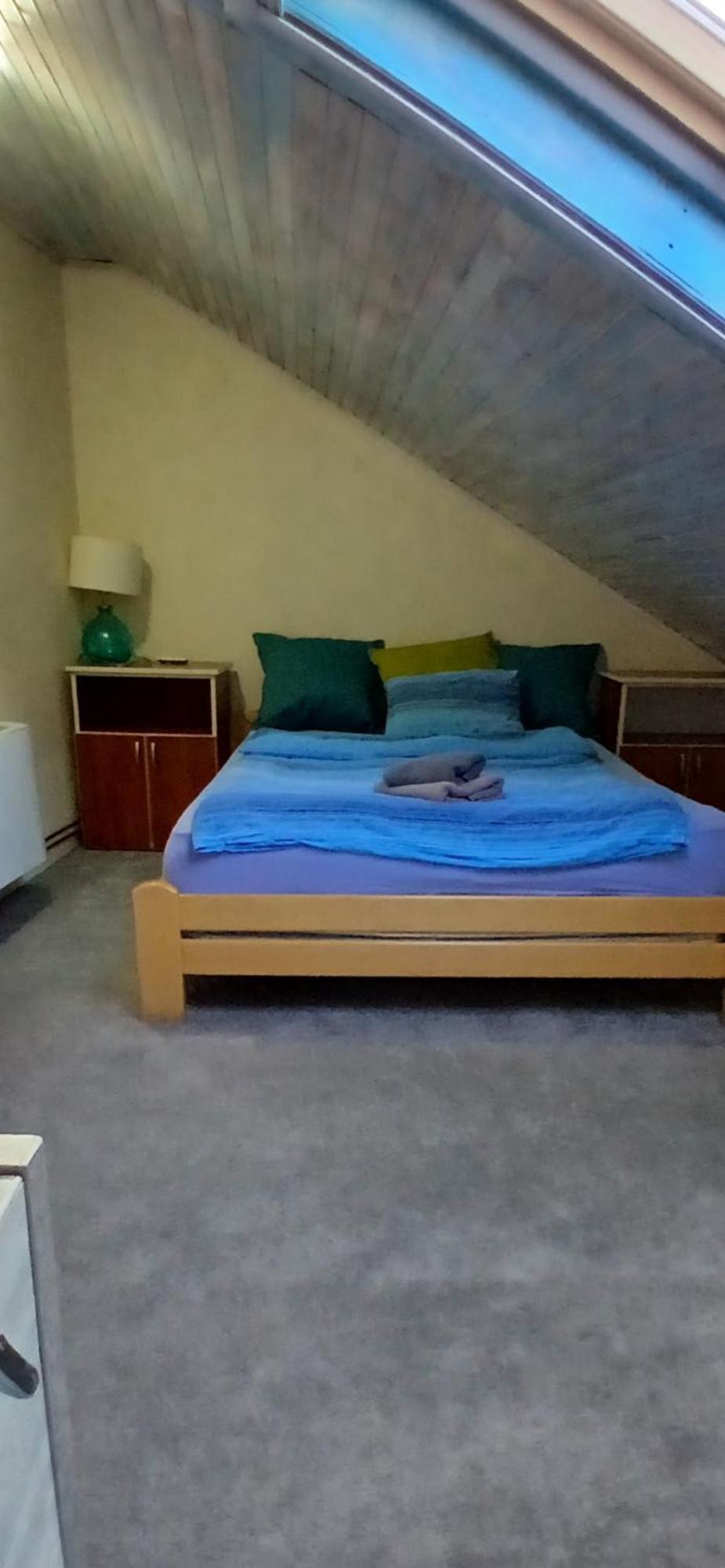 Varad Inn Novi Sad Exteriér fotografie